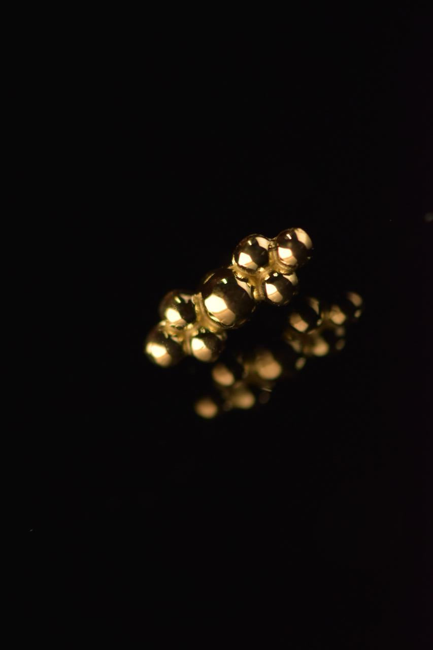 Genera